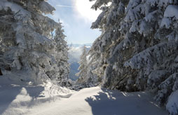 Camping Champ Tillet (Val de Chaise  6 km)